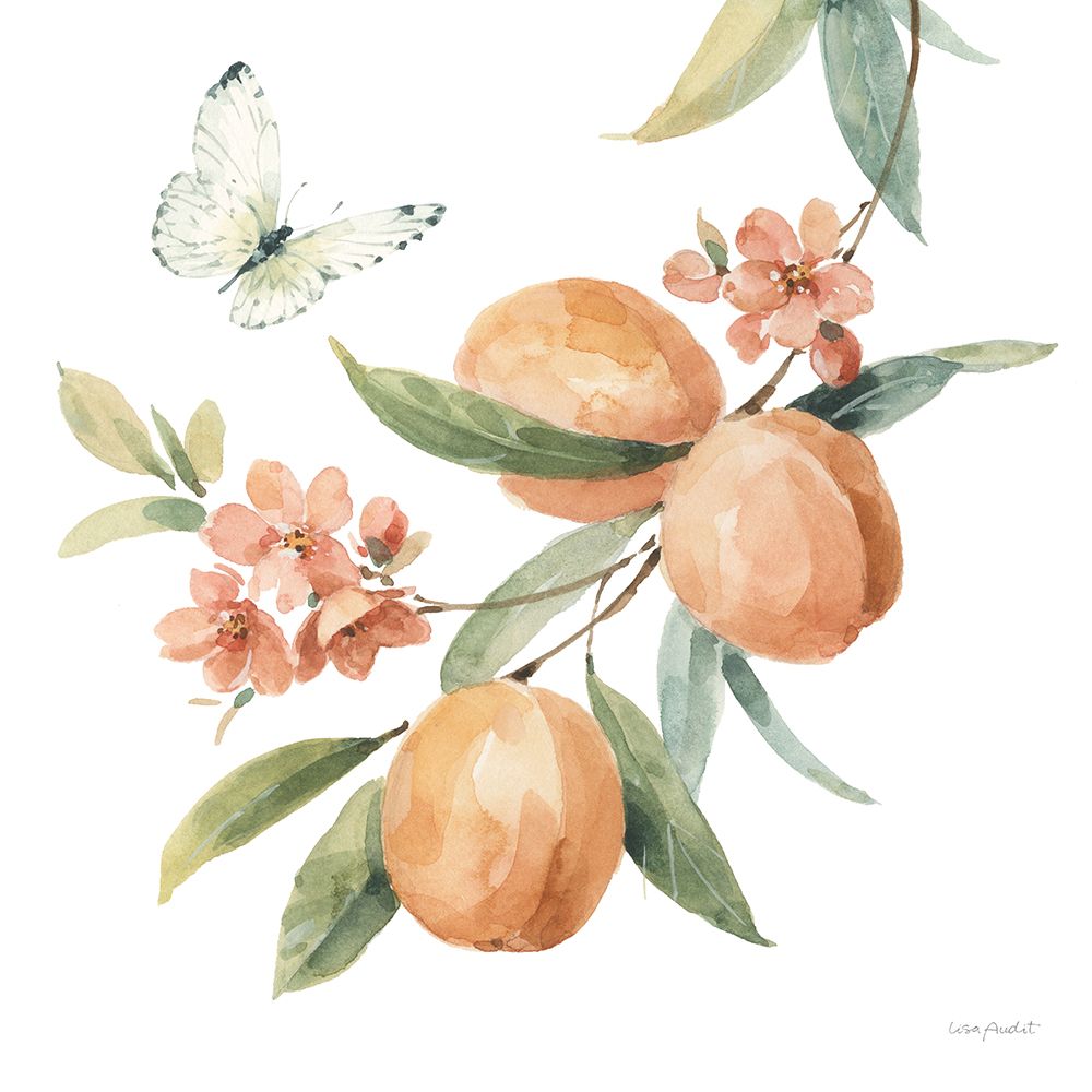 Southern Sweets IV art print by Lisa Audit for $57.95 CAD