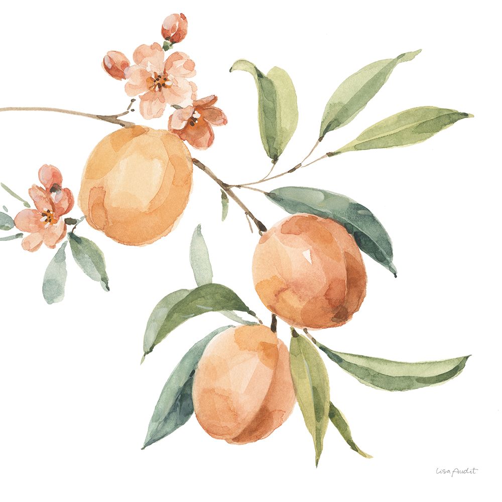 Southern Sweets V art print by Lisa Audit for $57.95 CAD