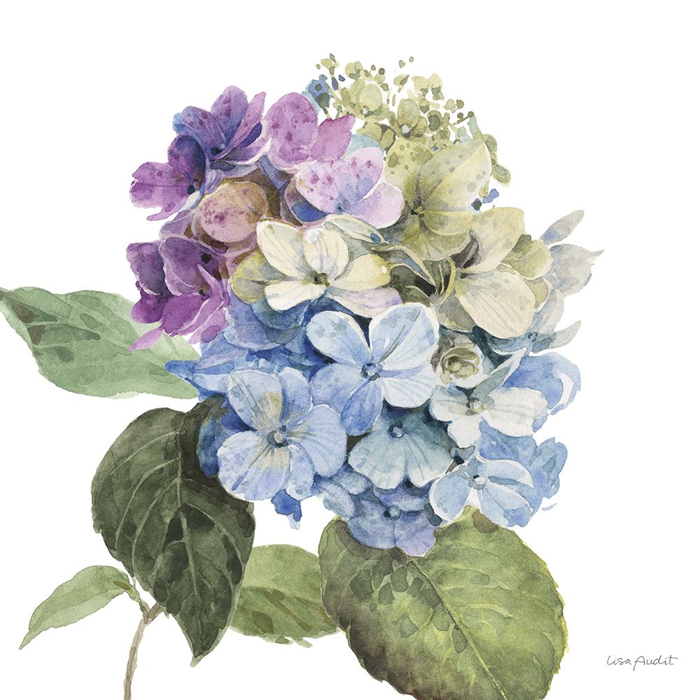 Whispers of Blue II art print by Lisa Audit for $57.95 CAD