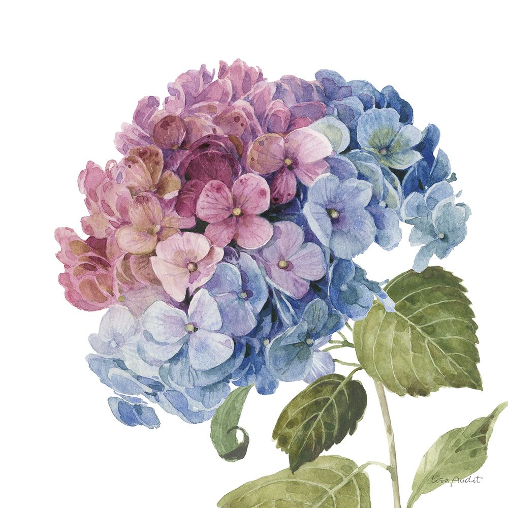 Whispers of Blue III art print by Lisa Audit for $57.95 CAD