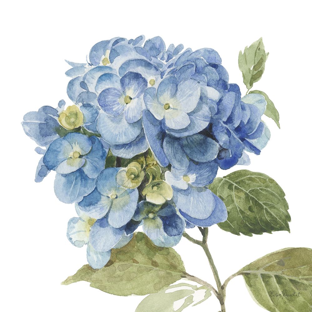 Whispers of Blue IV art print by Lisa Audit for $57.95 CAD