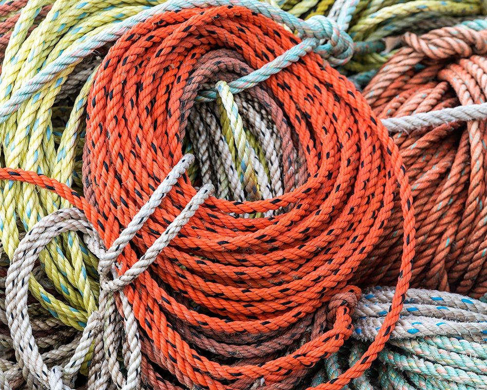 Knowing the Ropes II art print by Danny Head for $57.95 CAD