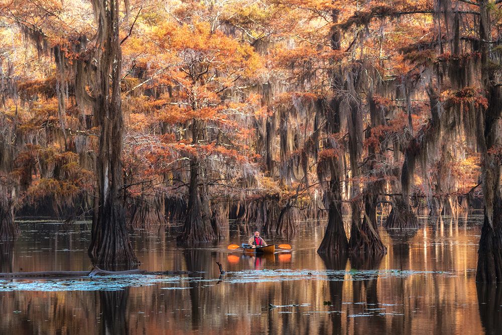 Bayou Kayaker art print by Danny Head for $57.95 CAD