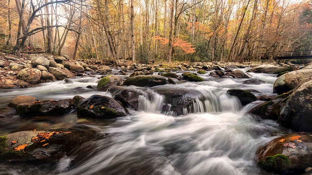 Autumn at Porters Creek art print by Danny Head for $57.95 CAD