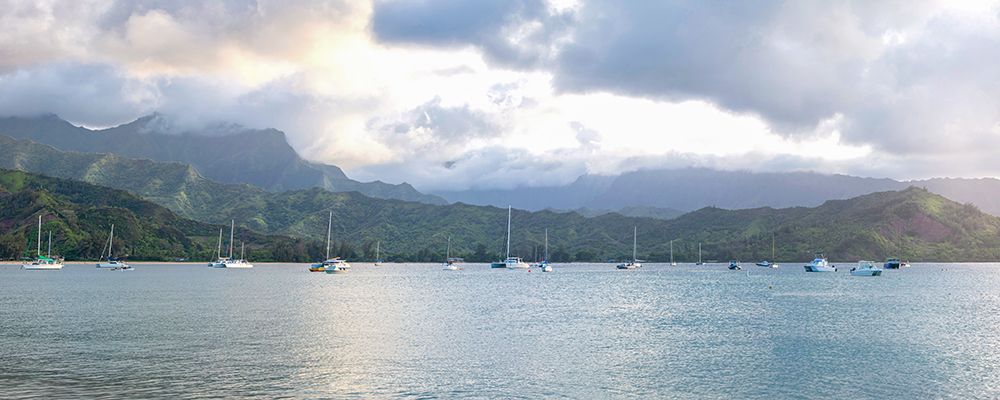 Hanalei Pano I art print by Danny Head for $57.95 CAD