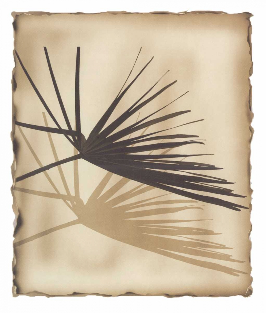 Tropic Palm 1 art print by Avant Art for $57.95 CAD