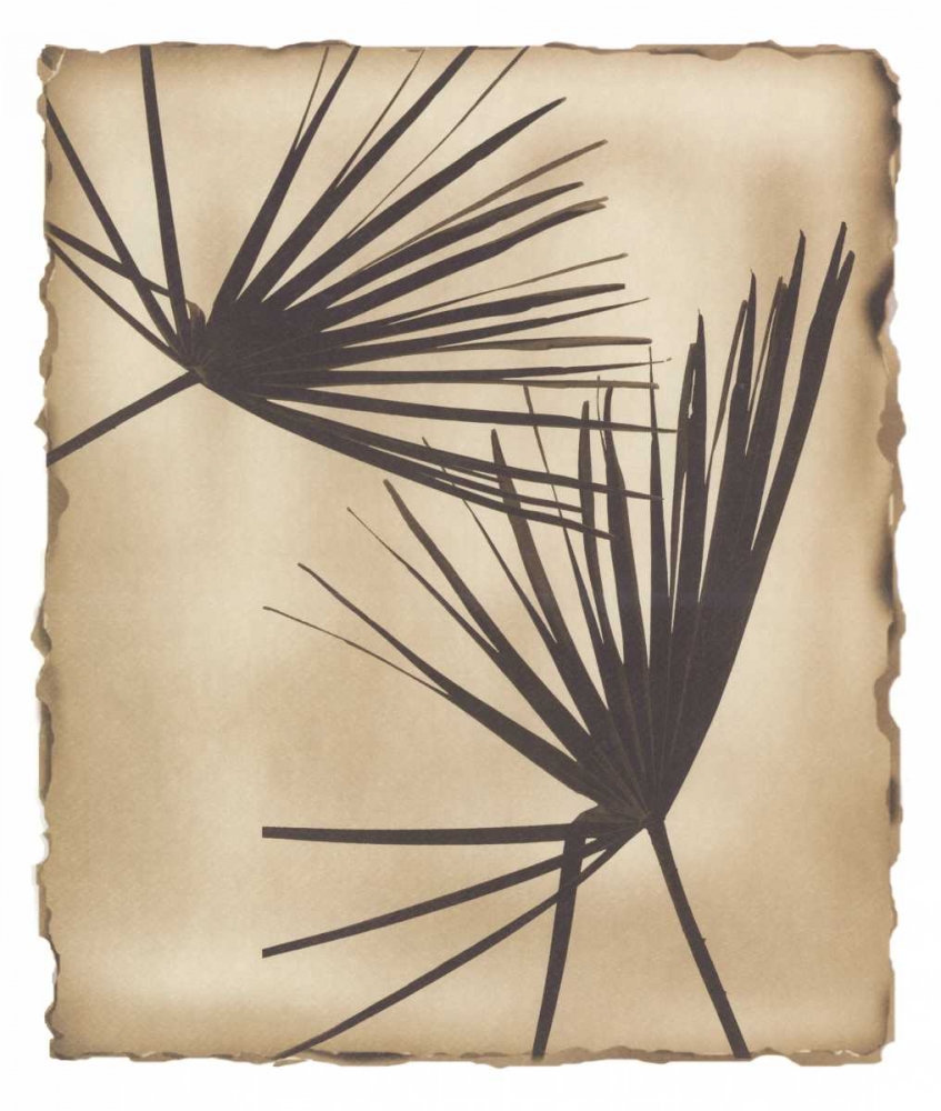 Tropic Palm 2 art print by Avant Art for $57.95 CAD