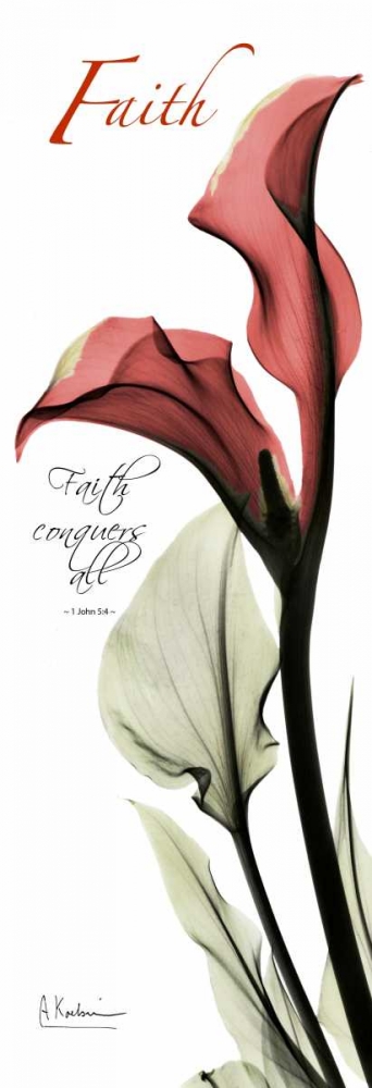 Calla Lily in Red - Faith art print by Albert Koetsier for $57.95 CAD