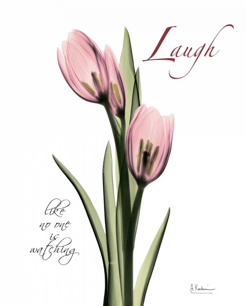 Tulip in Pink - Laugh art print by Albert Koetsier for $57.95 CAD