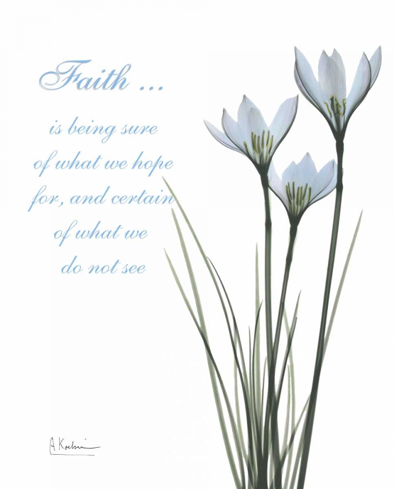 White Rain Lily - Faith art print by Albert Koetsier for $57.95 CAD