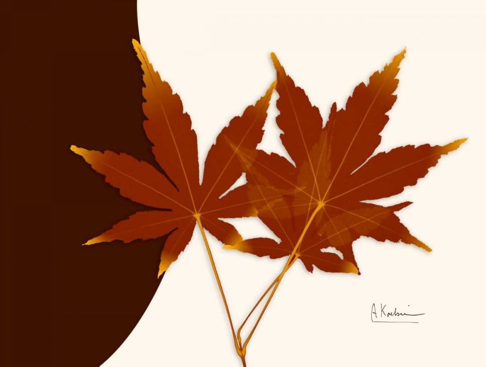 Japanese Maple on Brown and Beige art print by Albert Koetsier for $57.95 CAD