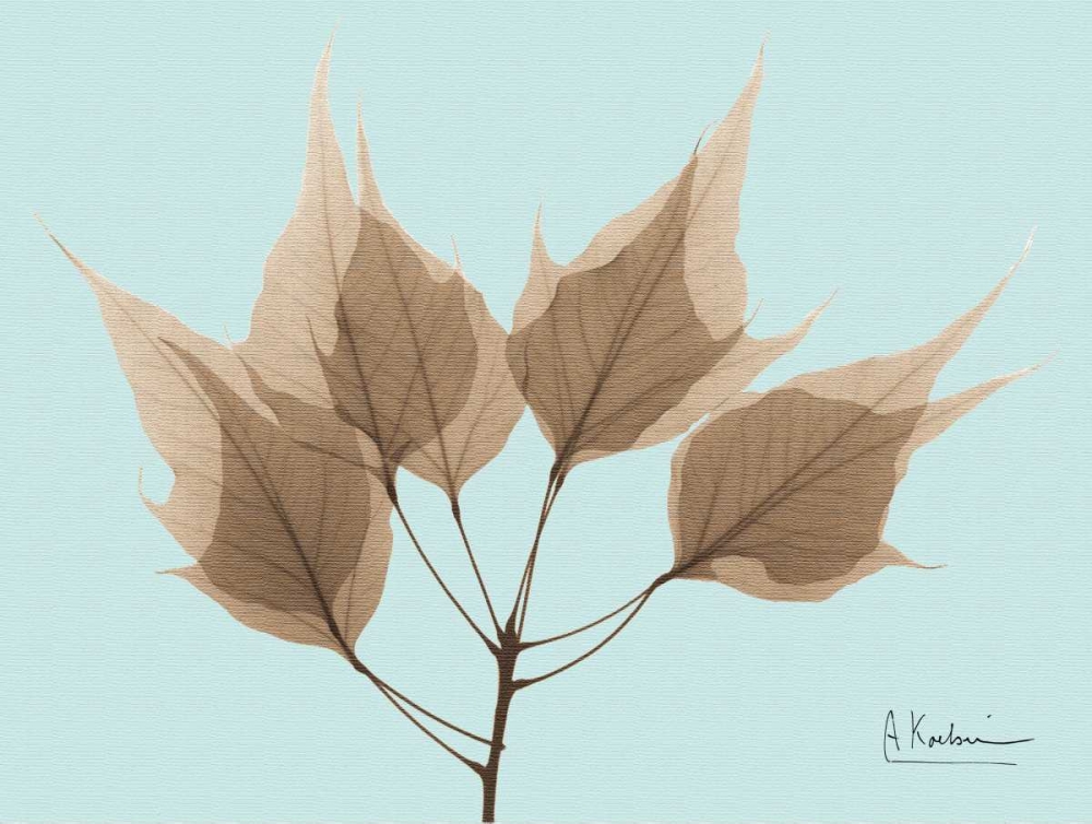 Father David Maple in Brown on Blue art print by Albert Koetsier for $57.95 CAD