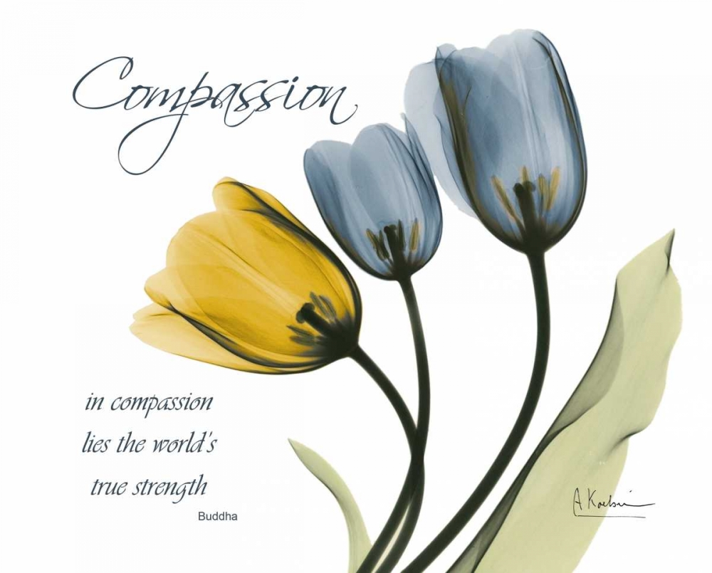 Tulip - Compassion art print by Albert Koetsier for $57.95 CAD