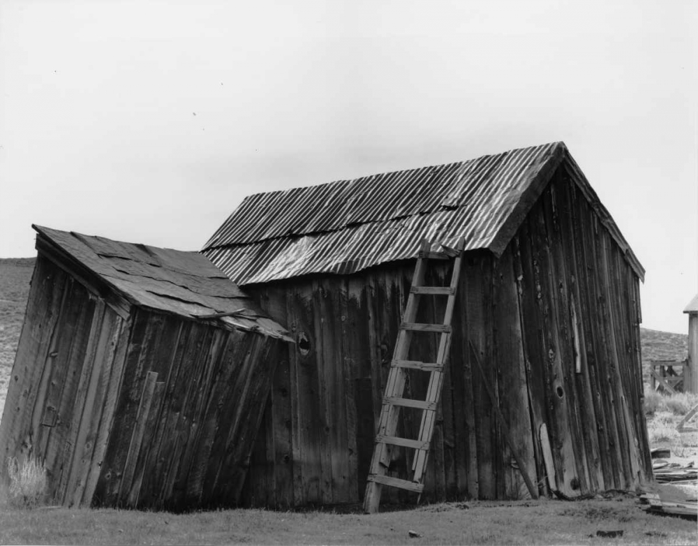 Bodi Ladder art print by Albert Koetsier for $57.95 CAD