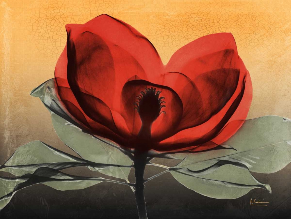 Hot Magnolia 1 art print by Albert Koetsier for $57.95 CAD