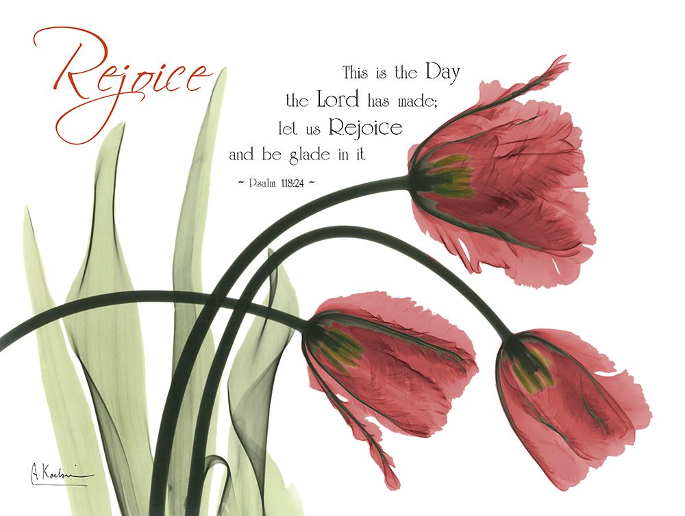 Rejoicing Tulips art print by Albert Koetsier for $57.95 CAD