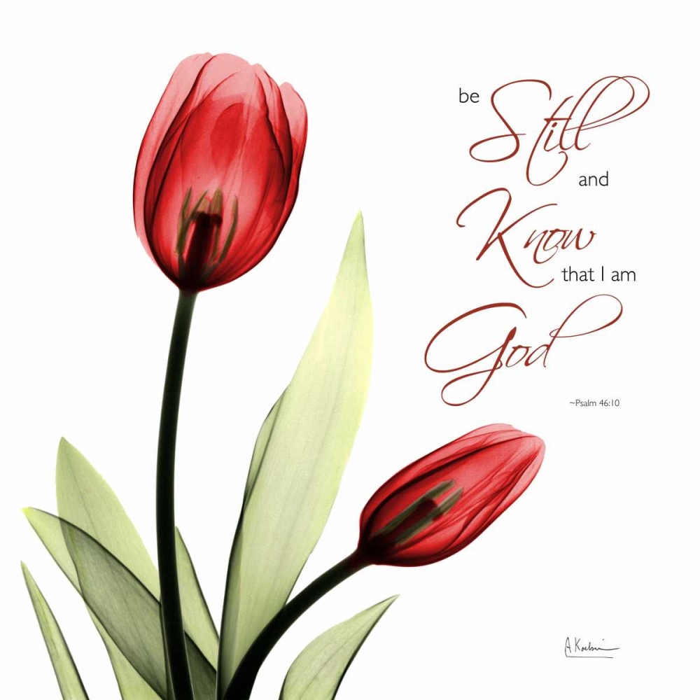 Be Still Tulip C64 art print by Albert Koetsier for $57.95 CAD