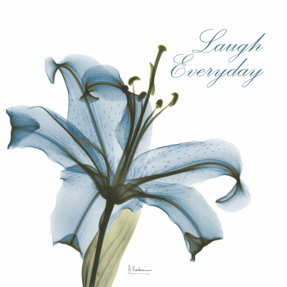 Laugh Everday Lily A36 art print by Albert Koetsier for $57.95 CAD