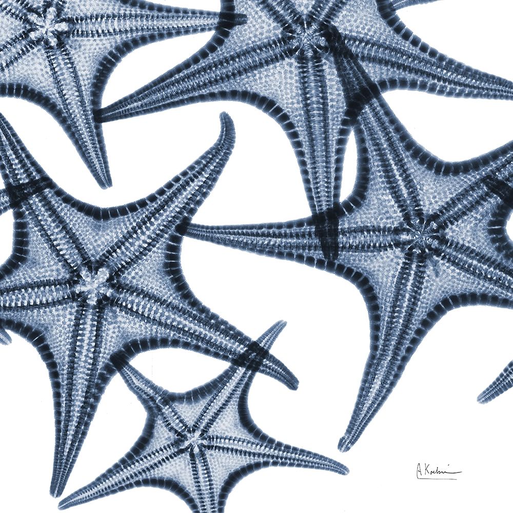 Starfish Trip 4 art print by Albert Koetsier for $57.95 CAD