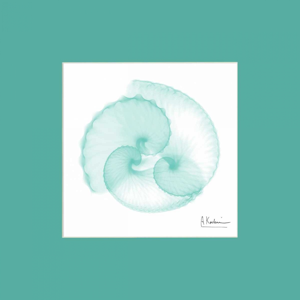 Argonaut Seafoam Matte art print by Albert Koetsier for $57.95 CAD