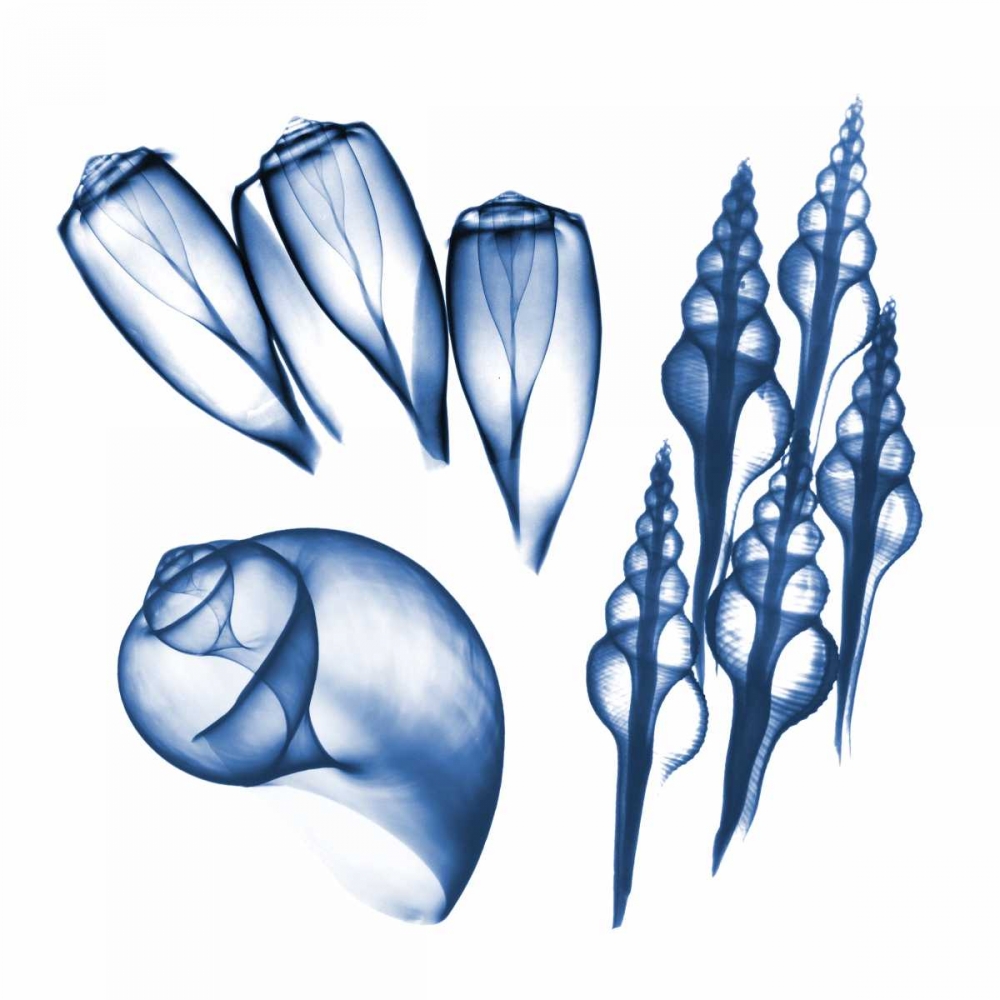 Blue Assortment Five art print by Albert Koetsier for $57.95 CAD