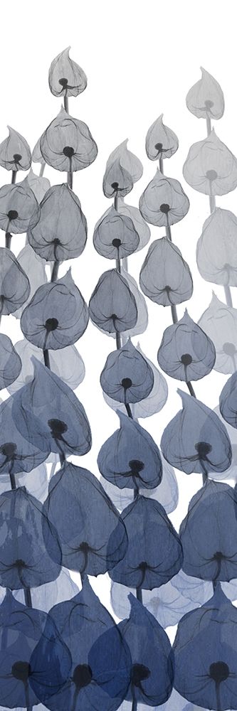 Sapphire Blooms On White 3 art print by Albert Koetsier for $57.95 CAD