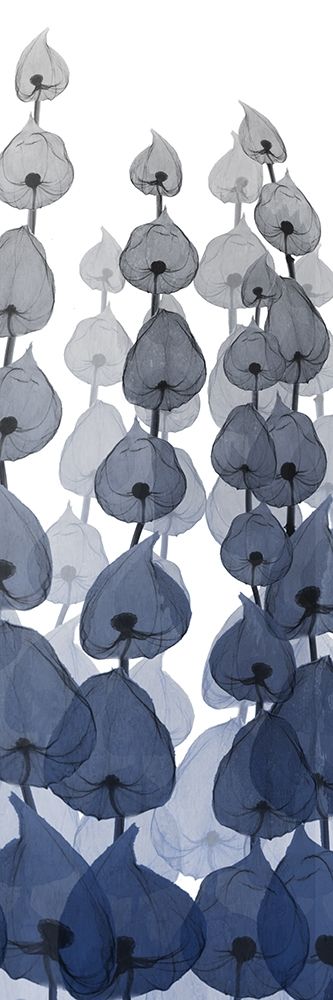 Sapphire Blooms On White 4 art print by Albert Koetsier for $57.95 CAD