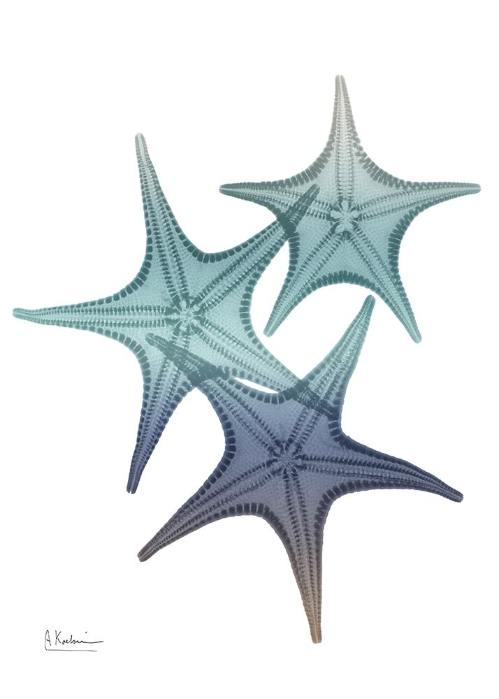 Starfish Ombre 2 art print by Albert Koetsier for $57.95 CAD