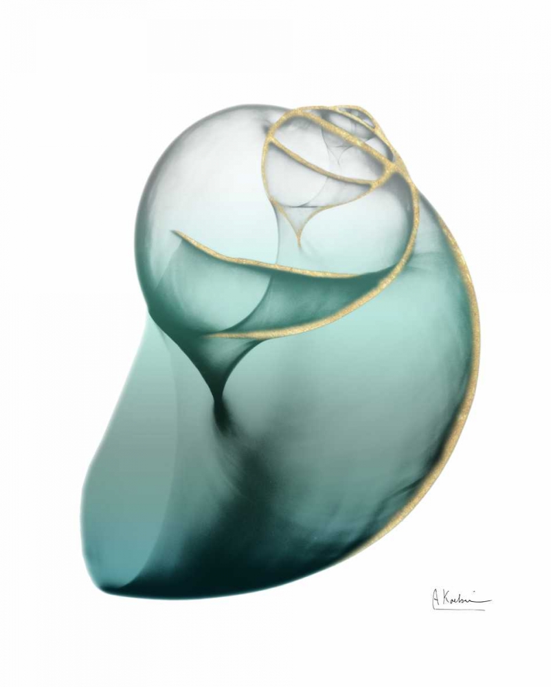 Shimmering Snail 3 art print by Albert Koetsier for $57.95 CAD