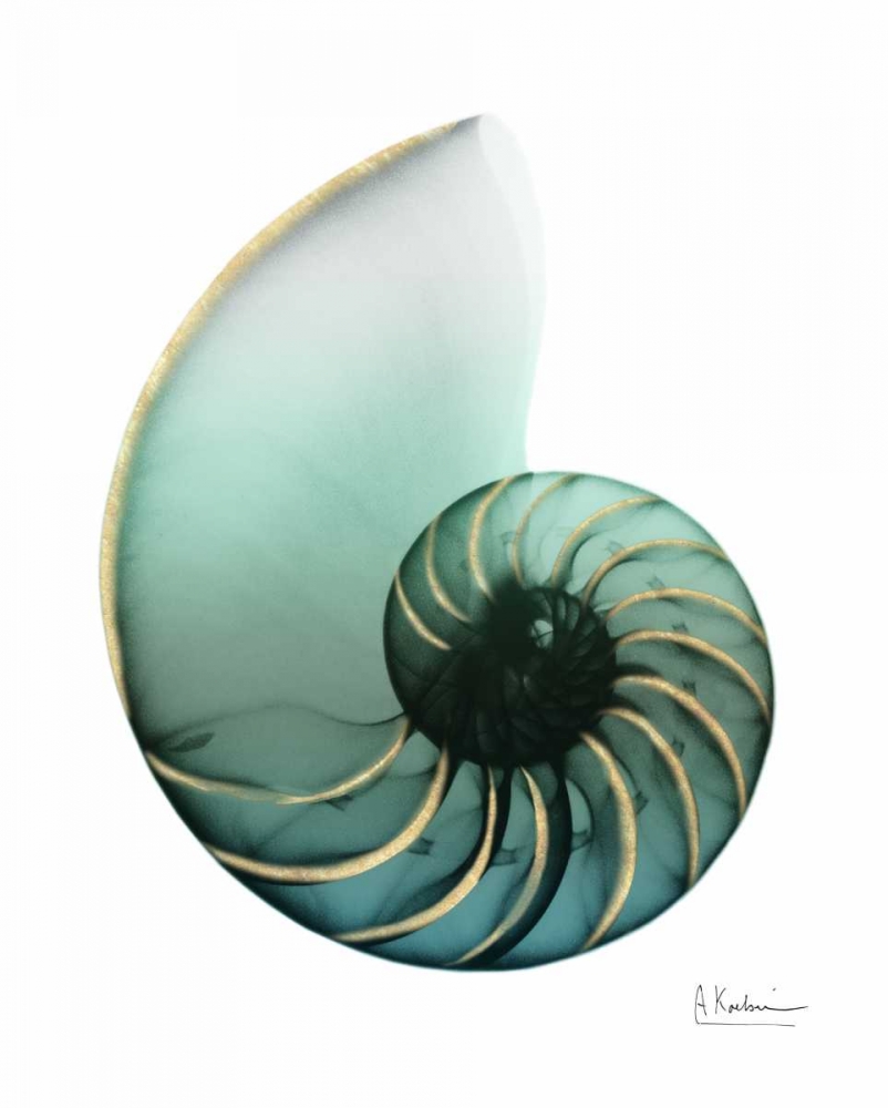 Shimmering Snail 4 art print by Albert Koetsier for $57.95 CAD