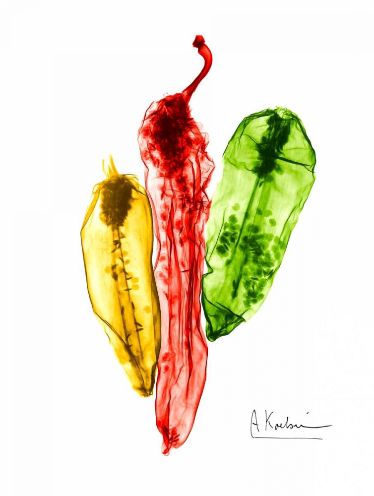Peppers Picante art print by Albert Koetsier for $57.95 CAD