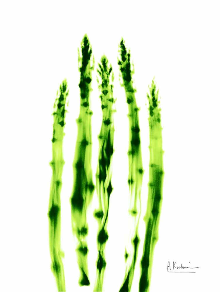 Asparagus Stock art print by Albert Koetsier for $57.95 CAD