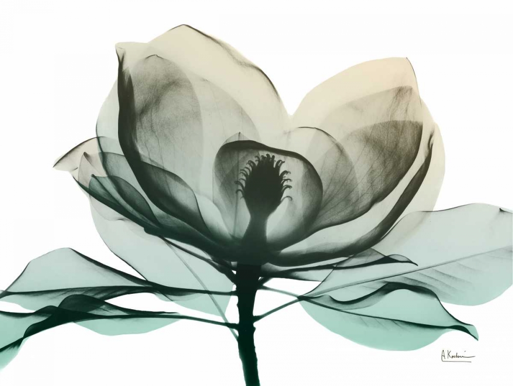 Emerald Magnolia 2 art print by Albert Koetsier for $57.95 CAD