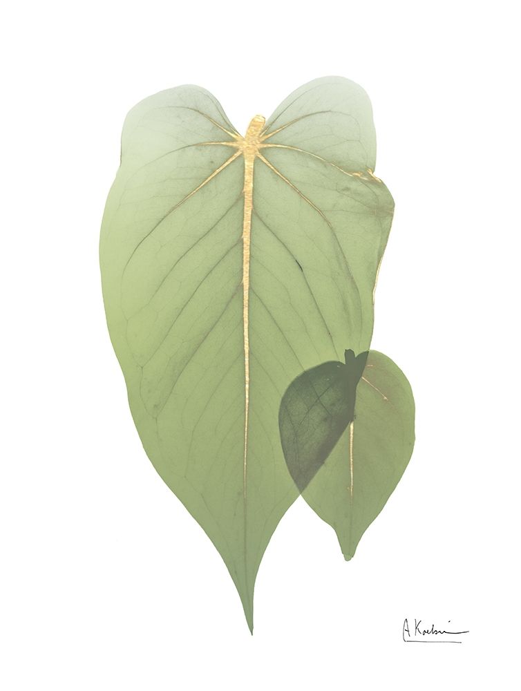 Golden Philodendron 2 art print by Albert Koetsier for $57.95 CAD