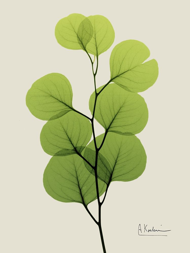 Natural Greenery 4 art print by Albert Koetsier for $57.95 CAD