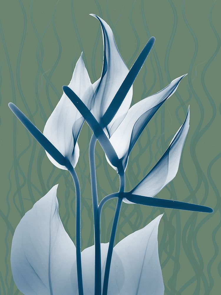 Blue Sage Dawn 2 art print by Albert Koetsier for $57.95 CAD