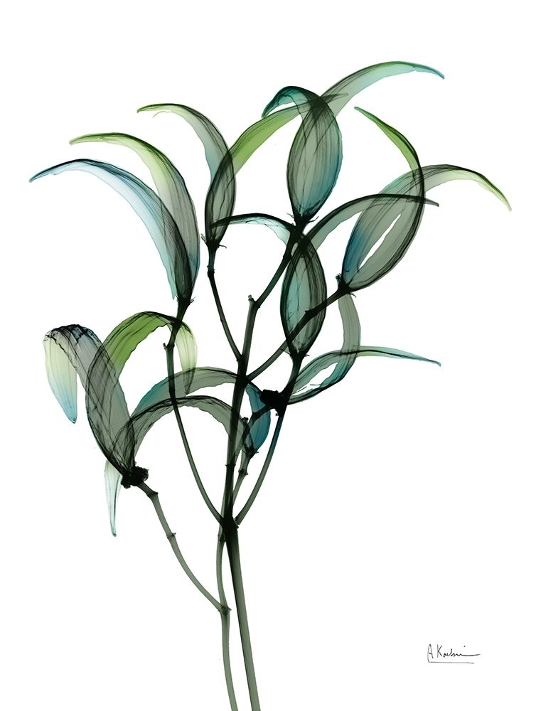 Shimmering Botanical 1 art print by Albert Koetsier for $57.95 CAD
