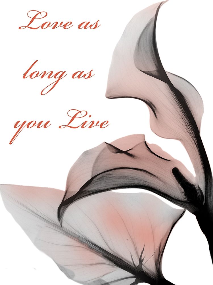 Love Long art print by Albert Koetsier for $57.95 CAD