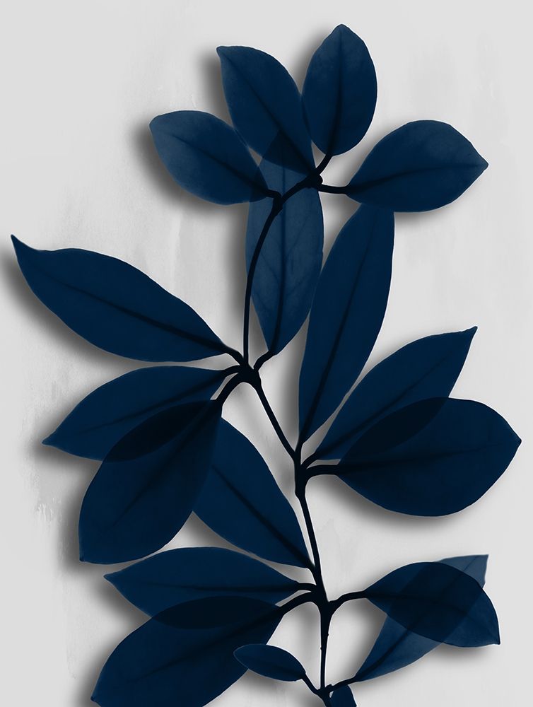 Azure Wonder 2 art print by Albert Koetsier for $57.95 CAD