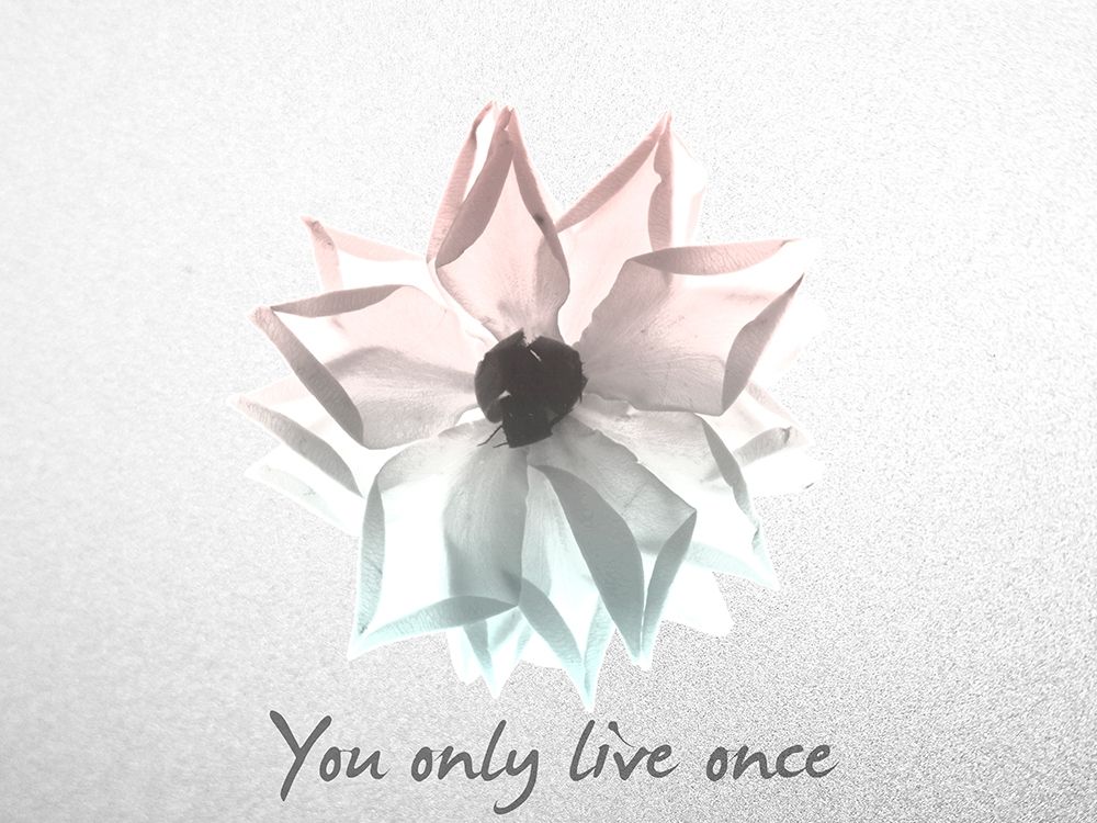 You Only Live Once Rose art print by Albert Koetsier for $57.95 CAD