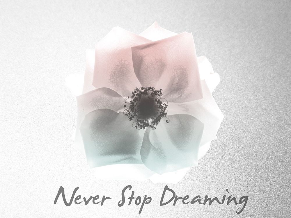 Never Stop Dreaming Rose art print by Albert Koetsier for $57.95 CAD