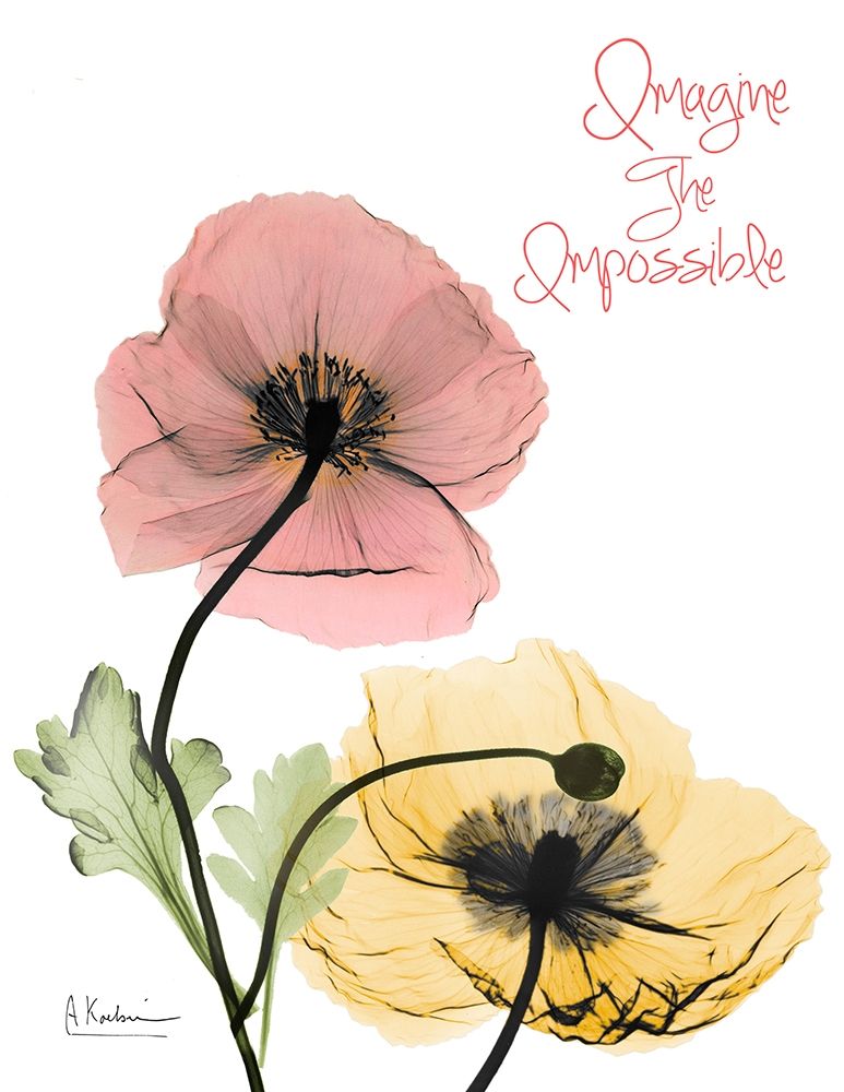 Impossible  Poppies art print by Albert Koetsier for $57.95 CAD