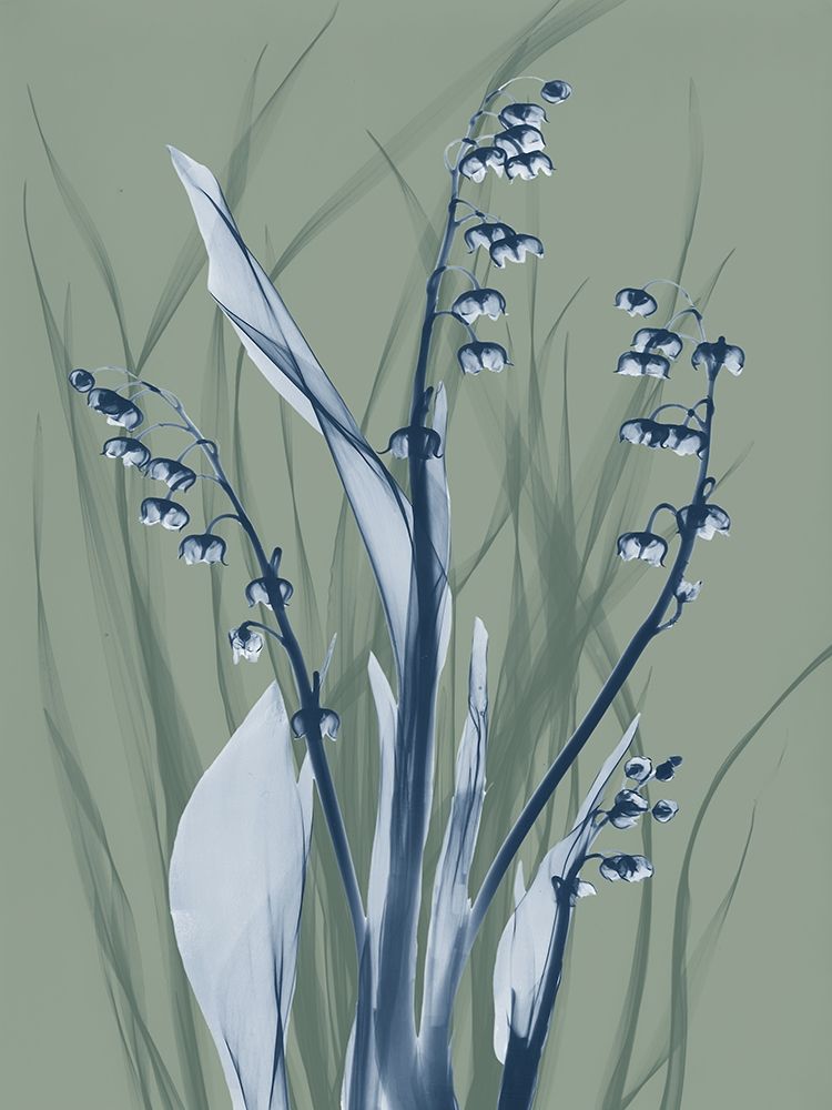 Radiant Blue Sage 2 art print by Albert Koetsier for $57.95 CAD