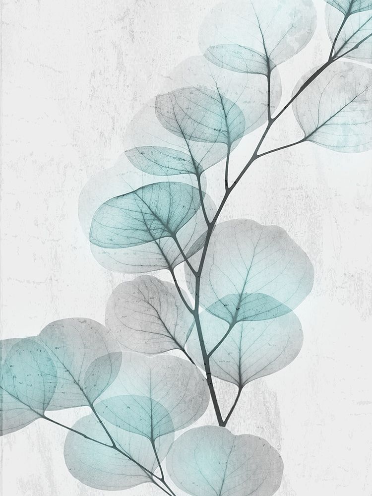 Eucalyptus Glow 4 art print by Albert Koetsier for $57.95 CAD