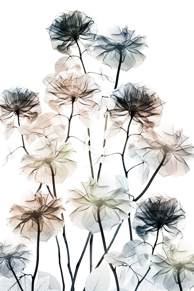 Energetic Flower Bed 2 art print by Albert Koetsier for $57.95 CAD