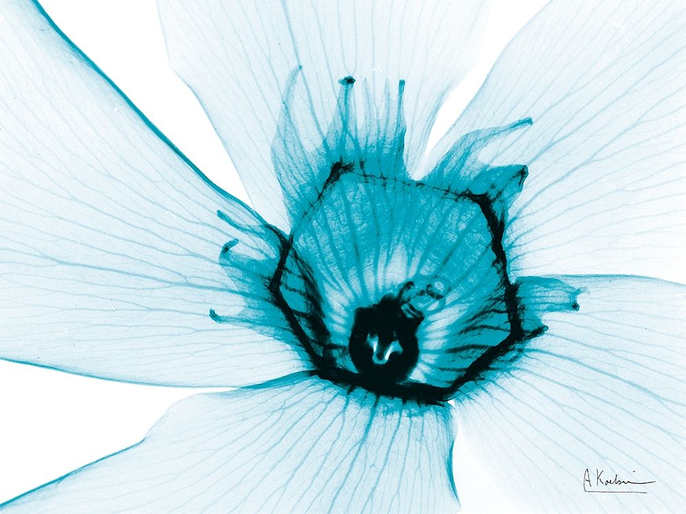 Aqua Oleander art print by Albert Koetsier for $57.95 CAD