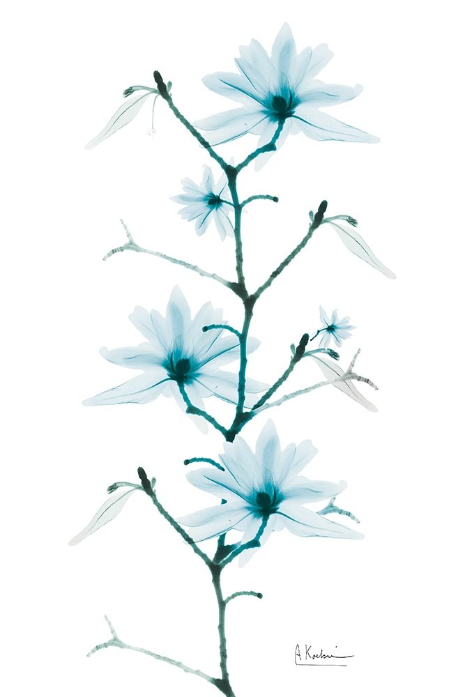 Aqua Beautiful Growth art print by Albert Koetsier for $57.95 CAD