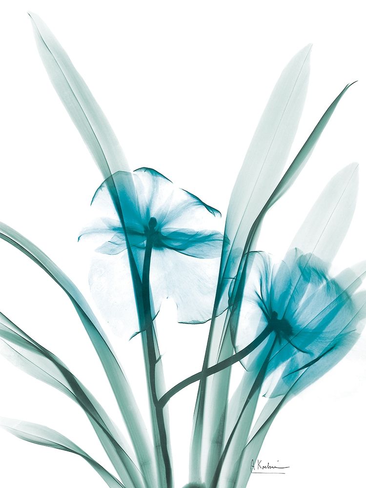 Aqua Dedrodium Orchid art print by Albert Koetsier for $57.95 CAD