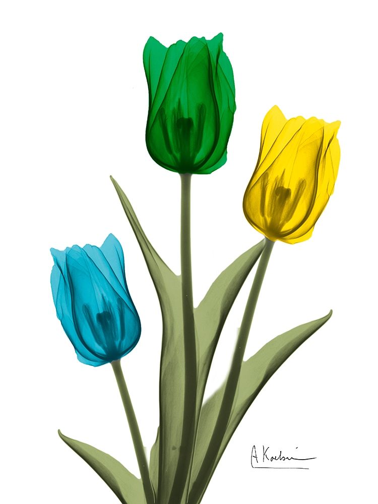 Jeweled Tulip Trio 2 art print by Albert Koetsier for $57.95 CAD