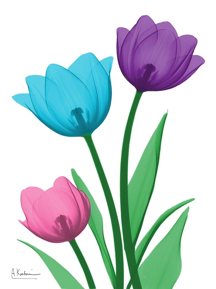 Shiny Tulips 1 art print by Albert Koetsier for $57.95 CAD